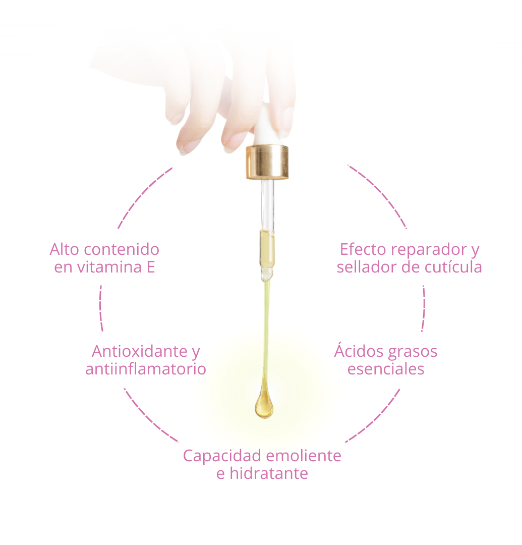 Propiedades del aceite de argán
