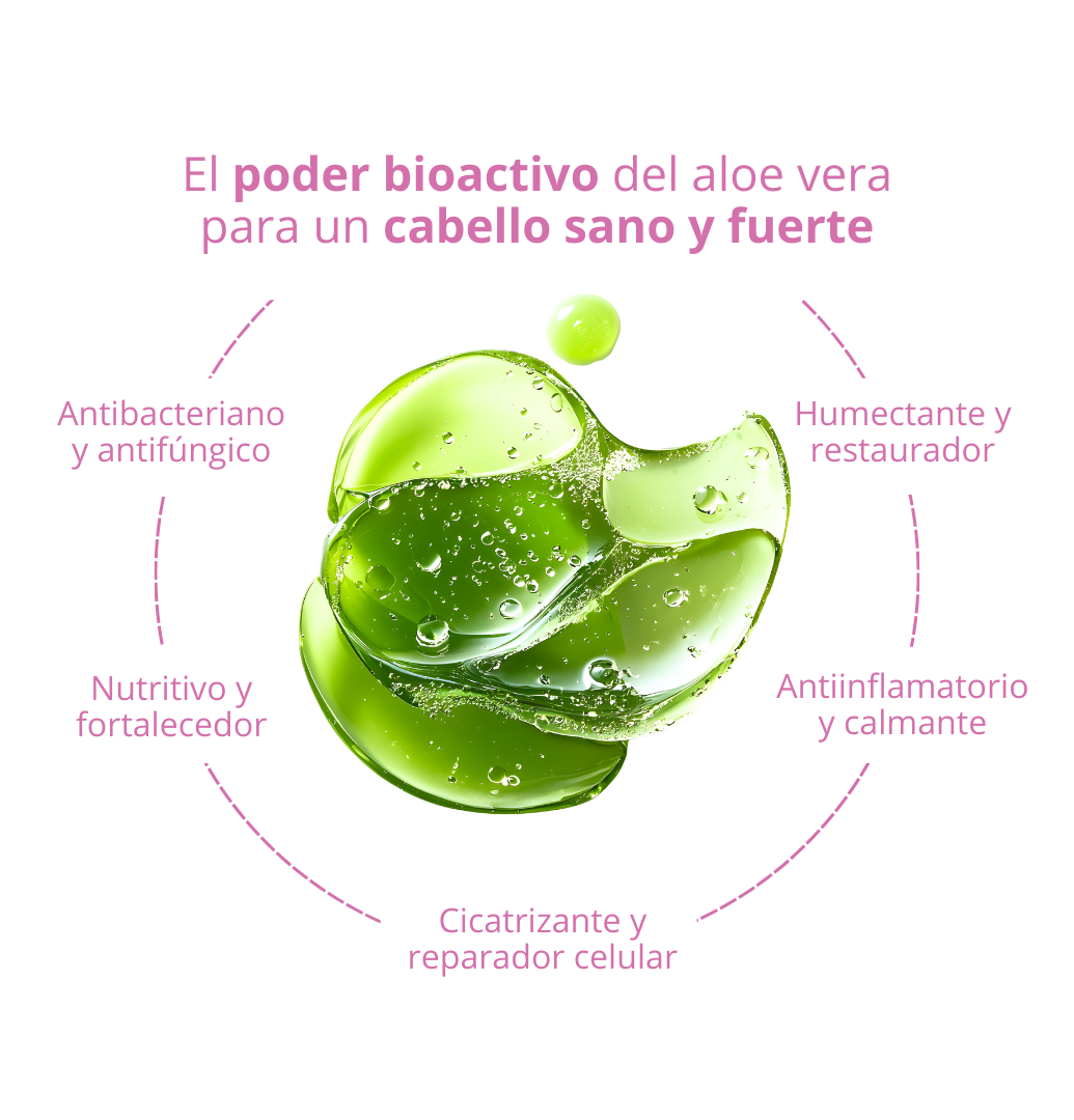 Propiedades del aloe vera