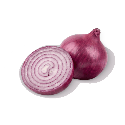 Cebolla